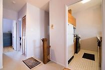 Lm Stays - 142 James Street Loft Ottawa Exterior foto